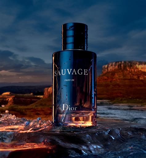 dior 924 sauvage|sauvage fragrance.